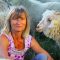 Mohair-du-Pastourelle-Brochier